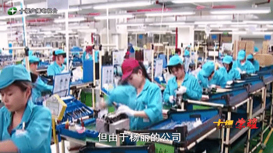 創(chuàng)業(yè)是一條無比艱辛的路，創(chuàng)新更是無限風光在險峰。在男性為主導的商海里，女性創(chuàng)業(yè)創(chuàng)新需要鼓足十萬分的勇氣和力量，是挑戰(zhàn)未來成功的小概率事件。而十堰姑娘楊麗便是這小概率事件中的一個傳奇，也是女性創(chuàng)業(yè)創(chuàng)新的榜樣。今天就來認識這位傳奇女性-興千田集團楊麗。